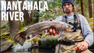 Fly Fishing NC’s BEST Trout Stream  The Nantahala River [upl. by Shelby608]