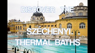 Dive into the famous Széchenyi Thermal Baths in Budapest [upl. by Attinahs715]