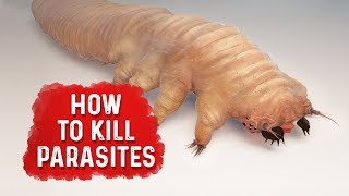 How To Kill Parasites  Dr Berg [upl. by Yug221]