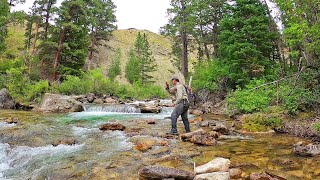 Fly Fishing the most INCREDIBLE Stream in Wyoming  Fly Fishing Wyoming part 3 [upl. by Nestor38]