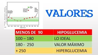 Hipoglucemia en perros diabéticos [upl. by Annairb]