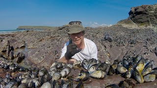 How to forage and cook Moules Mariniere [upl. by Carrelli]