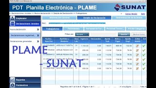 Como declarar el PDT PLAME 2019  Sunat [upl. by Elocyn]