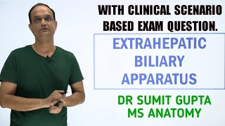 Extrahepatic biliary apparatus [upl. by Analart766]