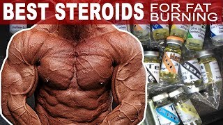 The Best Steroids For Burning Fat [upl. by Amlet261]