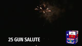 25 Gun Salute Firework [upl. by Haywood512]