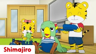 Young Sibling Education 👀 Brother amp Sister  Kids videos for kids  Shimajiro [upl. by Pearlman]