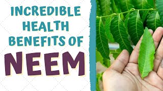 HEALTH BENEFITS OF NEEM [upl. by Chemaram]