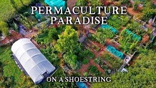 Inspirational SmallScale Permaculture Homestead  Low Cost SelfSufficiency on Less Than an Acre [upl. by Durand]