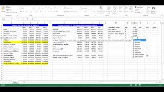 Profitability Ratios [upl. by Siseneg437]