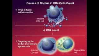 How HIV Causes Disease [upl. by Enitsirt]