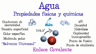 💧El agua propiedades Físicas y Químicas💥 Fácil y Rápido  FÍSICA  QUÍMICA [upl. by Xila]