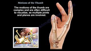 Motions Of The Thumb  Everything You Need To Know  Dr Nabil Ebraheim [upl. by Brander]