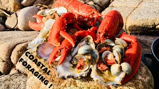 Coastal Foraging  Oysters  Lobsters and Clams  Cook Up On The Beach [upl. by Cleodell]