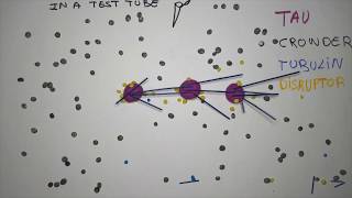 Microtubule nucleation through phase separation [upl. by Ilime]