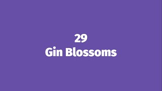 29  Gin Blossoms HD Lyric Video [upl. by Theresa851]