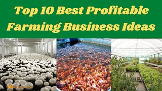 Top 10 Best Profitable Farming Business Ideas [upl. by Ynelram436]