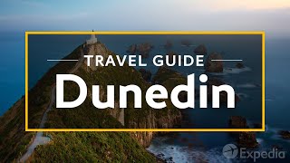 Dunedin Vacation Travel Guide  Expedia [upl. by Elleinad756]