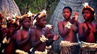 Beautiful Traditional African Zulu Dancing Africa Travel Channel [upl. by Schach]