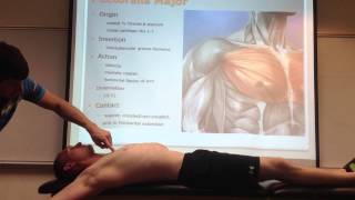 Pectoralis Major Palpation Manual Therapy and Stretch [upl. by Amitak222]