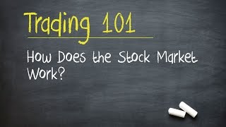 Trading 101 How Does the Stock Market Work [upl. by Donni]