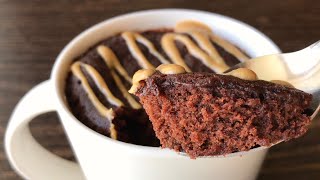 Chocolate Peanut Butter Mug Cake  Ems Kitchen [upl. by Pawsner502]