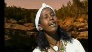 ethiopian song [upl. by Aisenet649]