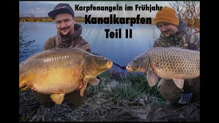 Kanalkarpfen II  Carpfishing  Angeln mit Boilies  Erfolgreich auf Karpfen [upl. by Adina380]