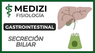 Clase 51 Fisiología Gastrointestinal  Secreción Biliar IGdoctorpaiva [upl. by Yreffoeg]