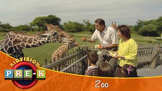 Zoo  Virtual Field Trip  KidVision PreK [upl. by Aneleve886]