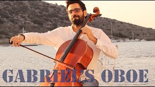 Gabriels Oboe  Cello  Ennio Morricone [upl. by Rann]