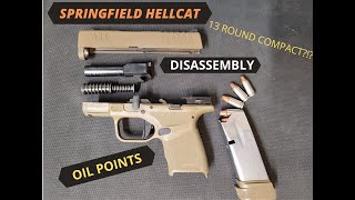 Springfield Hellcat Disassembly and oil points BEGINNERS GUIDE [upl. by Barnebas111]