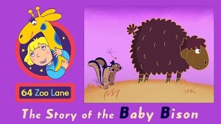 64 Zoo Lane  the Baby Bison S03E21  Cartoon for kids [upl. by Aniale667]