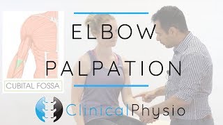 Elbow Palpation  Clinical Physio Premium [upl. by Sihonn]