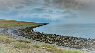 Natuurfilm  Documentaire Afsluitdijk [upl. by Zigmund]