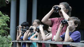 Overview of the Orion GiantView ED 20x80 Waterproof Astronomy Binoculars [upl. by Amihsat594]