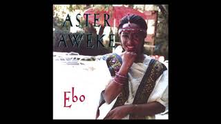 Aster Aweke  Ebo Full Album [upl. by Nirtiac]