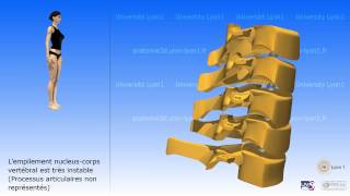 La colonne cervicale [upl. by Ariaes261]