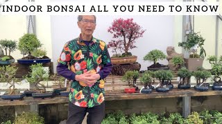 Indoor Bonsai All You Need To Know [upl. by Ainslee]