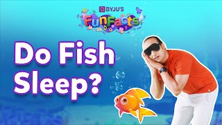 Do Fish Sleep  BYJUS Fun Facts [upl. by Ettelrac]