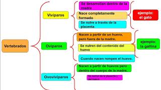 ESQUEMA DE LLAVES [upl. by Helban]