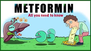 Metformin Uses Mechanism of action Side effects Contraindications [upl. by Verada]