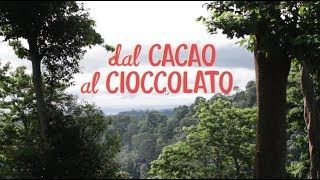 Dal cacao al cioccolato  The Fair Trade Cocoa Journey [upl. by Ettenej]