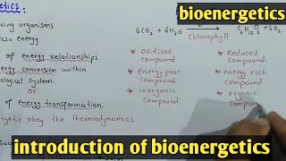 Introduction To bioenergetics  Class 11 Biology [upl. by Ojeillib]