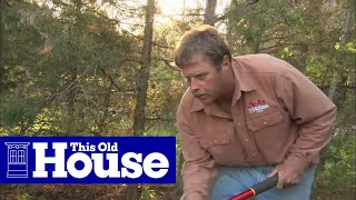 How to Transplant a Rhododendron  This Old House [upl. by Lombardi235]