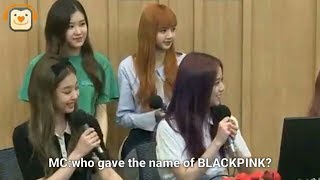 Blackpink quotPINK PUNKquot [upl. by Nanoc]