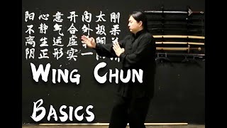 8 min Basic Wing Chun Training for beginners [upl. by Drape]