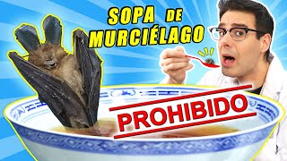 Probando LA SOPA PROHIBIDA DE MURCIÉLAGO  Temporada 4  Curiosidades con Mike  T4 E1 [upl. by Root541]