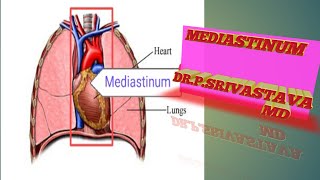 MEDIASTINUM WITH CLINICAL ANATOMY [upl. by Taft210]