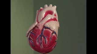 EKG Rhythm  How to Count the Heart Rate on EKG strip 6 six Second Rule [upl. by Jackquelin]